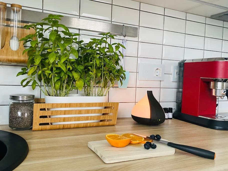 Park Apartment Vilnius